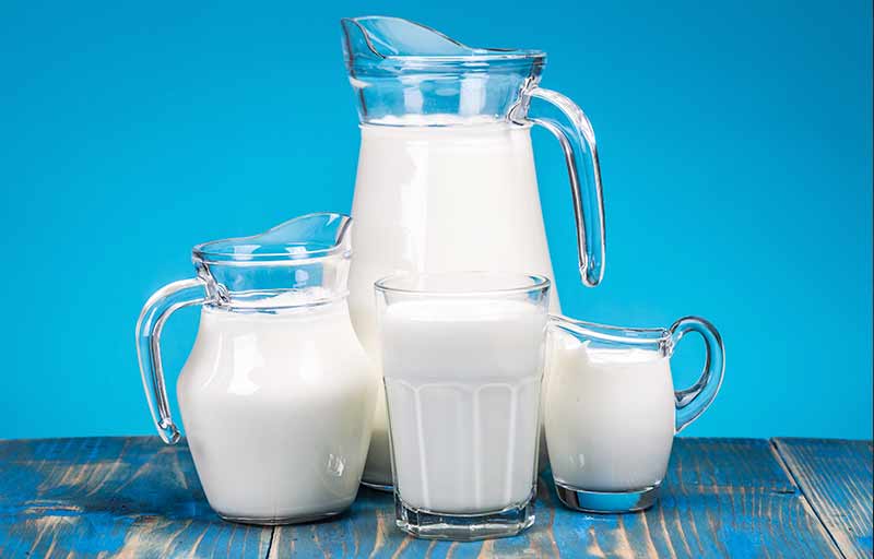 Propiedades de la leche